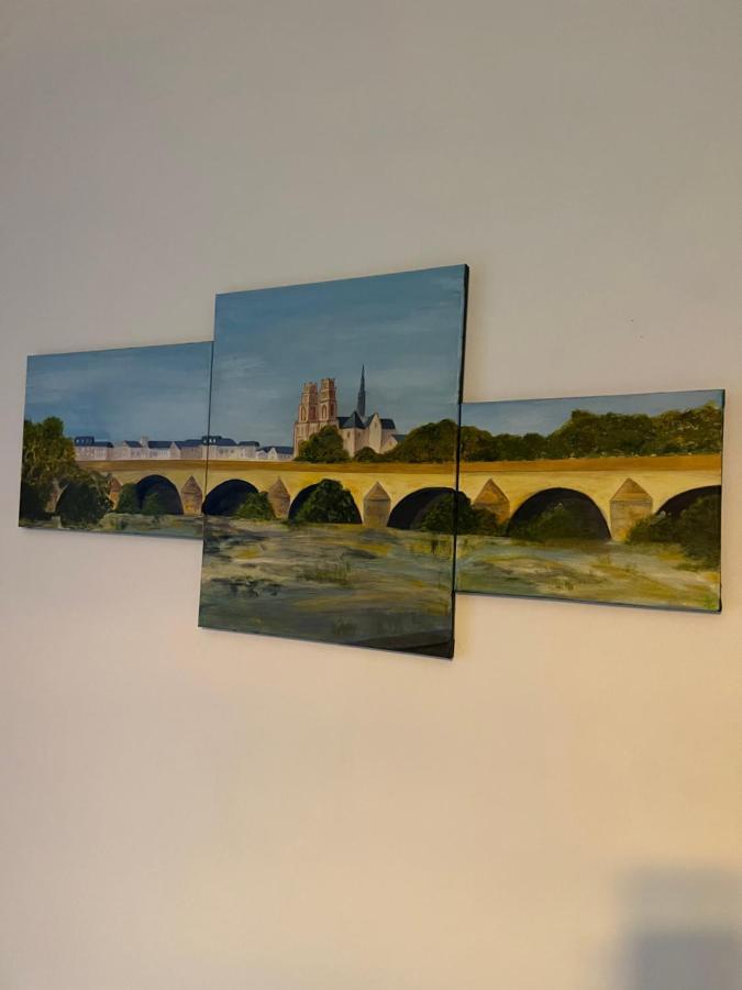 Cosy Loire, T2 Neuf, Front De Loire ,Vue Cathedrale,5Min A Pied Centre Ville Et Parking Prive Orléans Extérieur photo